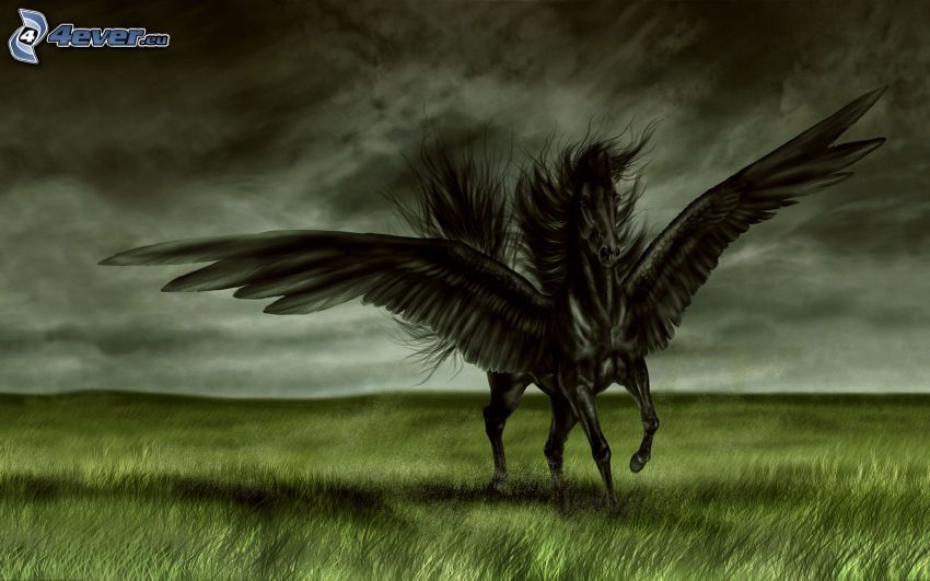 Pegaso, caballo negro, alas, prado, nubes