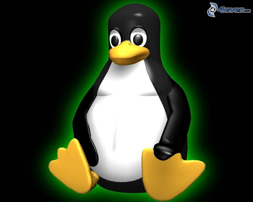 Tux, pingüino, Linux