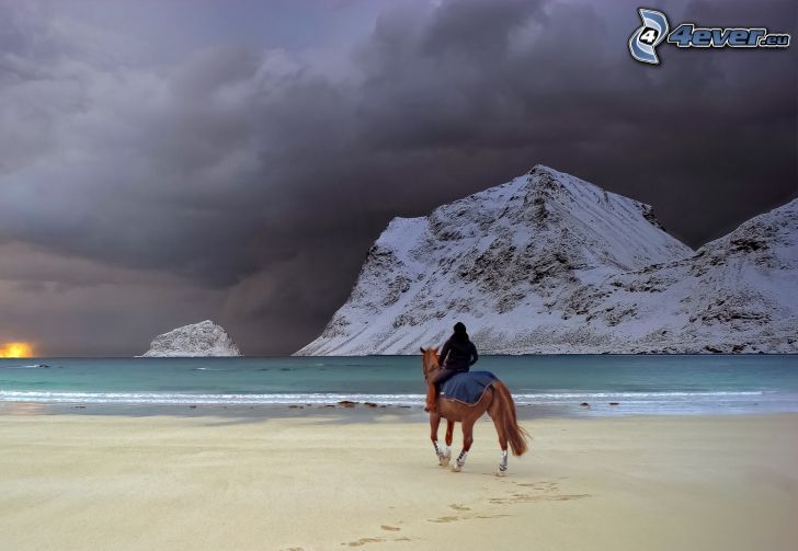 Caballos en la playa, caballo marrón, jinete, playa de arena, colinas cubiertas de nieve, Nubes de tormenta