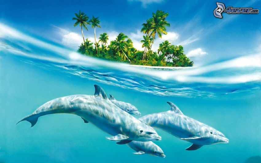 delfines, isleta de palmeras