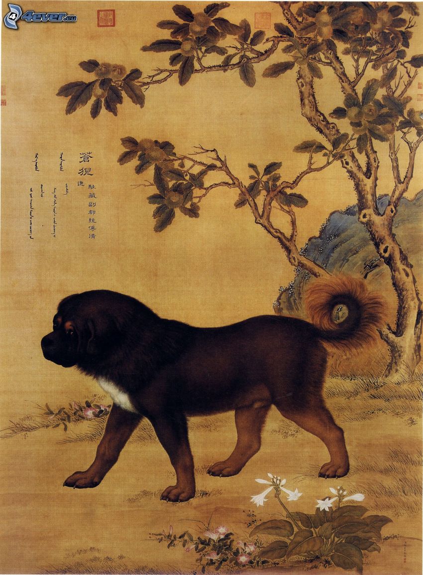 Dogo del Tibet, dibujos animados, caracteres chinos, árbol
