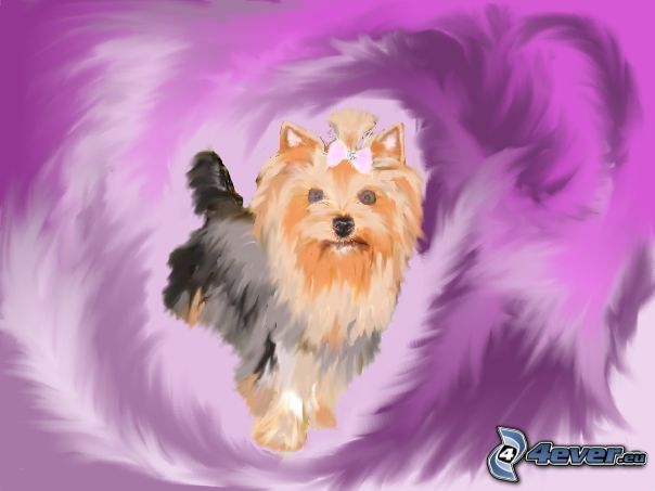 Yorkshire Terrier, dibujo, pintura