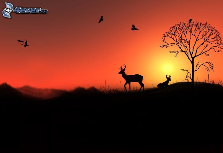 ciervos, siluetas, silueta de un árbol, puesta de sol anaranjada