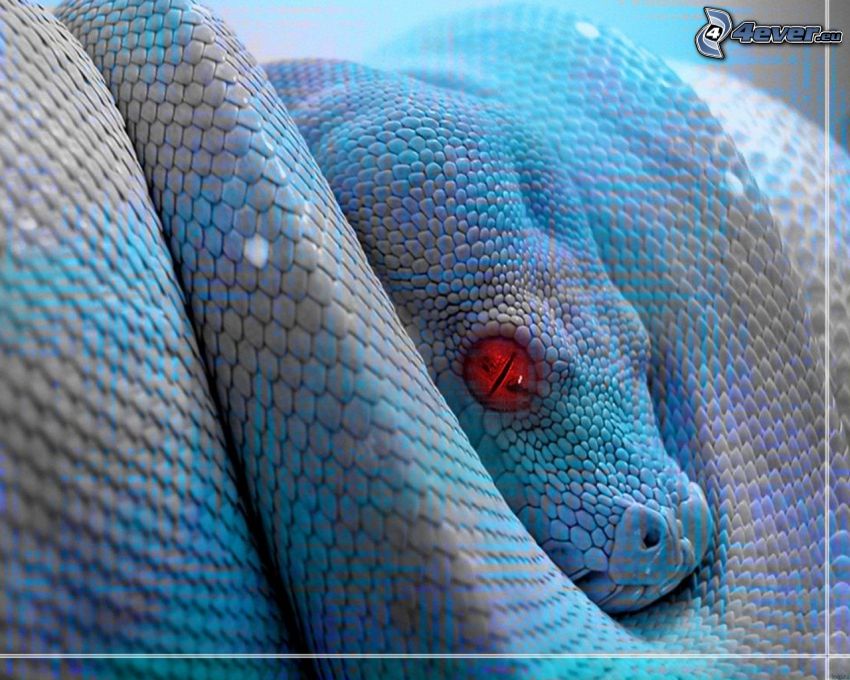 serpiente azul, ojos rojos
