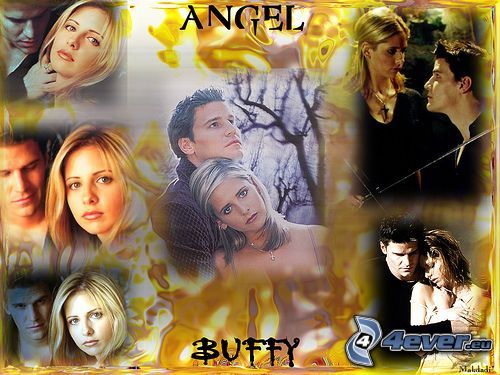 Buffy, Sarah Michelle Gellar, David Boreanaz, Seeley Booth