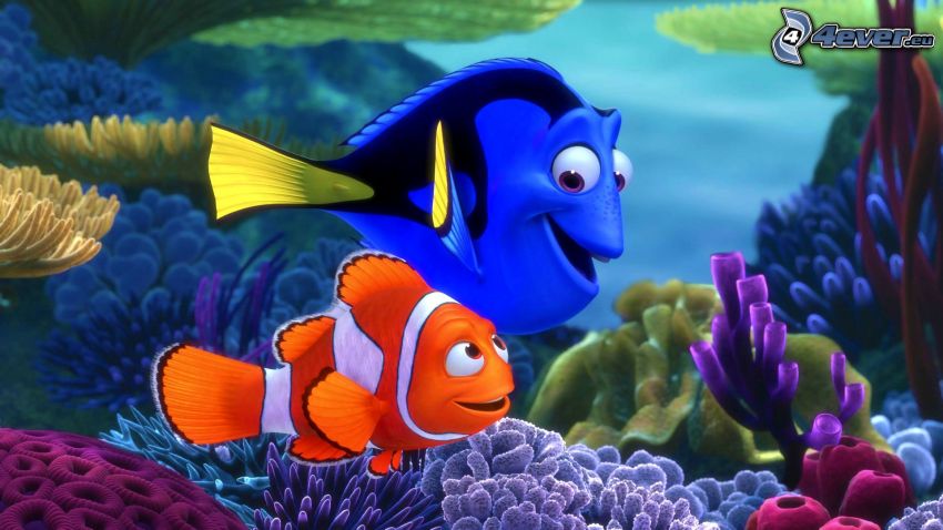 Buscando a Nemo, Marlin & Dory