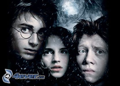 Harry Hermione y Ron, Harry Potter