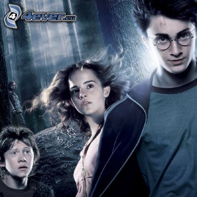 Harry Potter, trio, bosque
