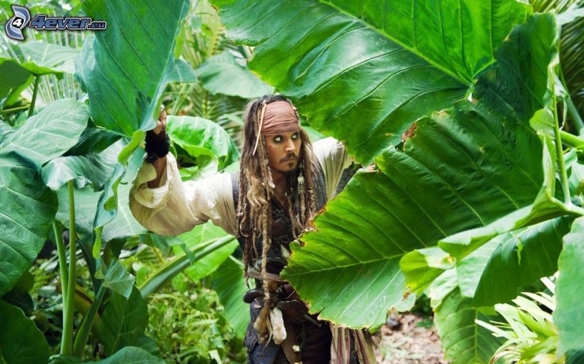 Piratas del Caribe, Jack Sparrow, hojas verdes