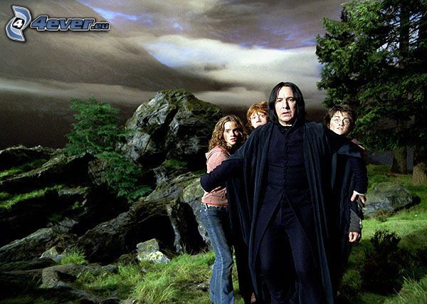 Severus Snape, Harry Potter, Ron Weasley, Hermione Granger, bosque, roca