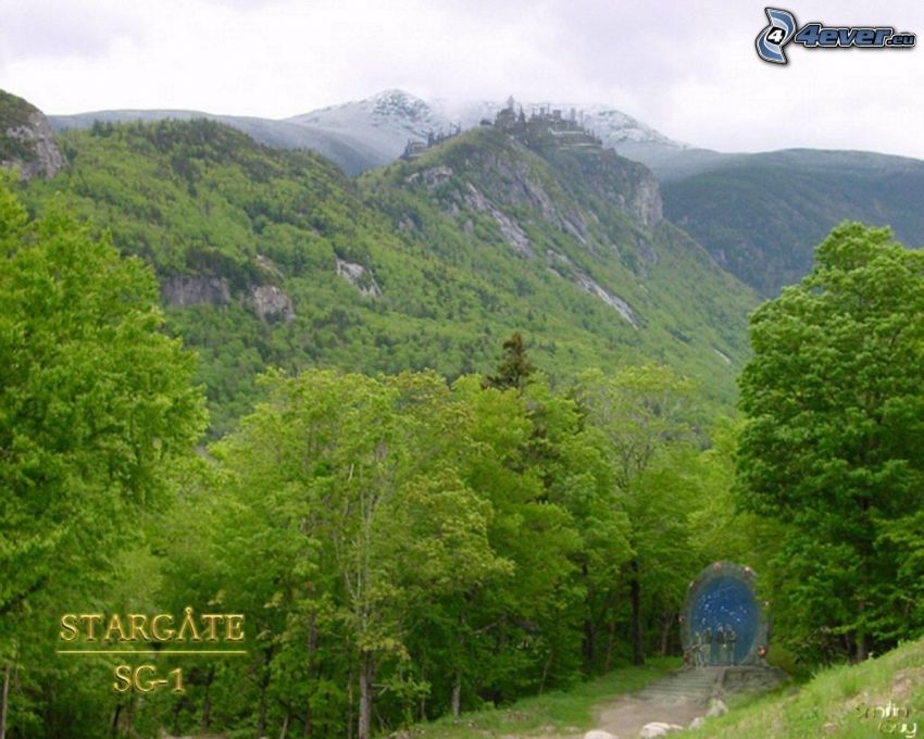 Stargate SG-1, bosque, naturaleza
