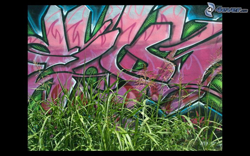 grafiti, hierba