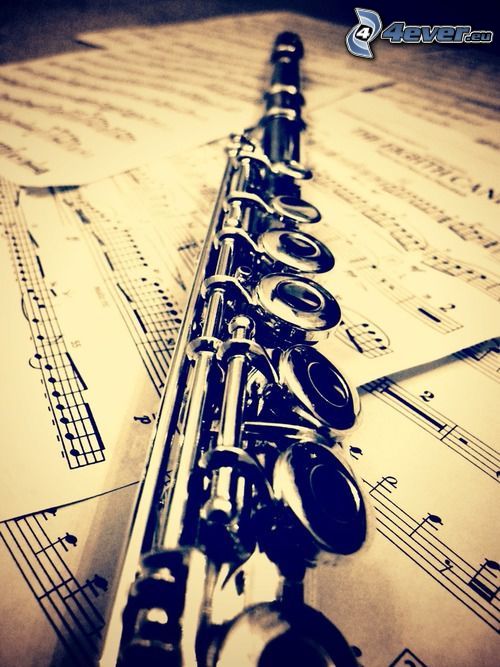 flauta, notas de música