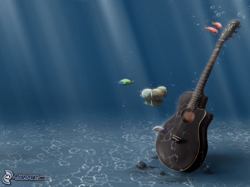 guitarra, mar, peces