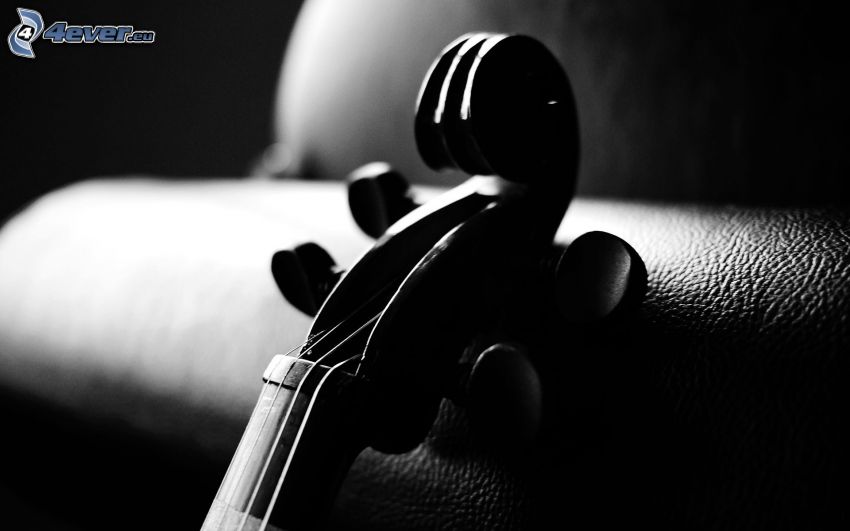 violín, Foto en blanco y negro