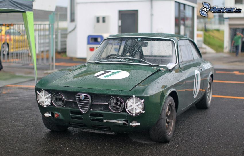 Alfa Romeo, veterano