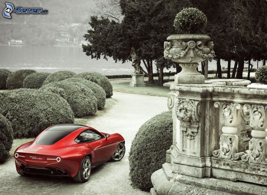 Alfa Romeo Disco Volante, concepto, Arbustos, árboles
