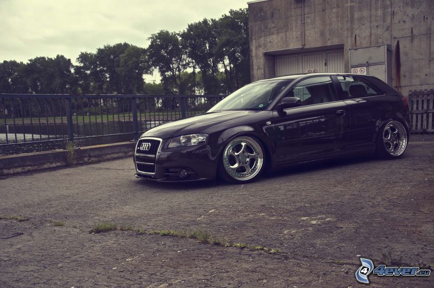 Audi A3, lowrider