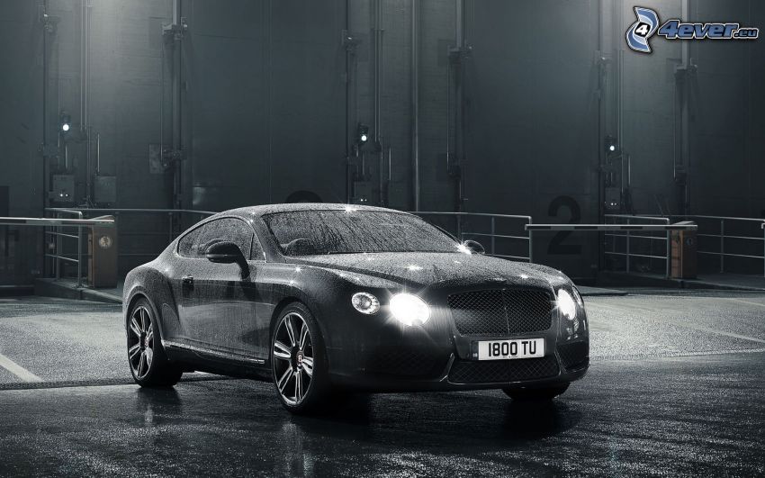 Bentley Continental, luces, blanco y negro