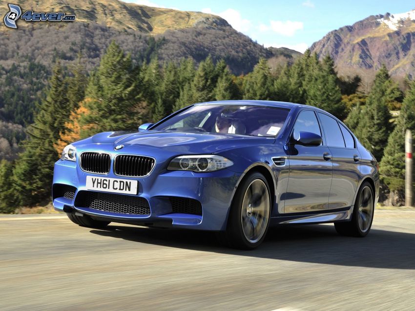 BMW M5, bosque, colina, acelerar