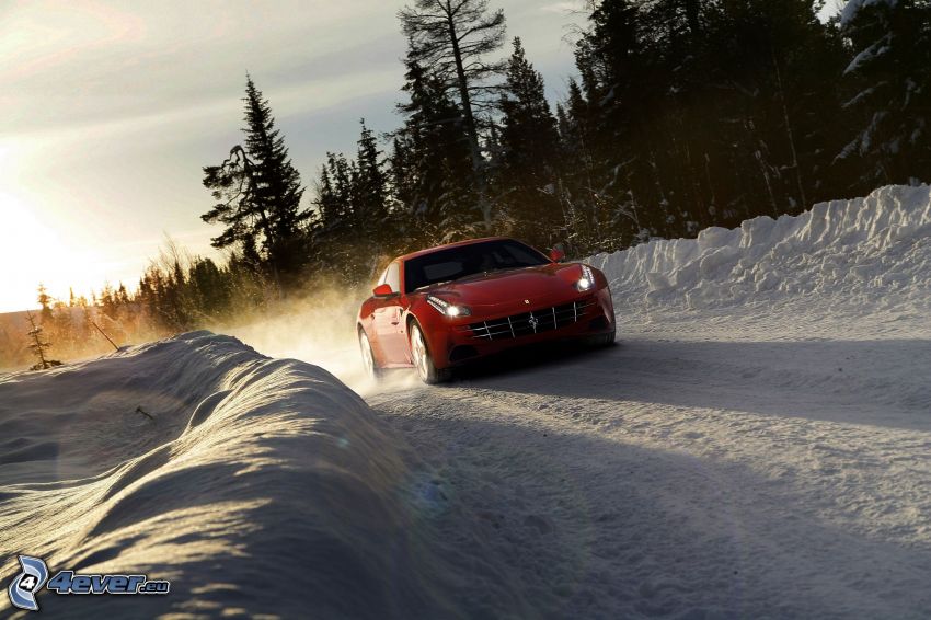Ferrari FF, nieve, bosque