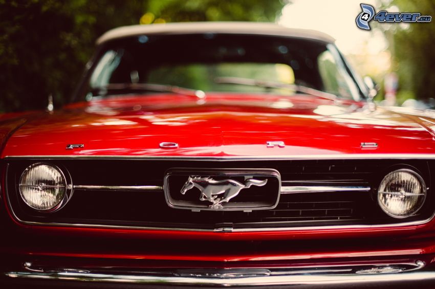 Ford Mustang, delantera de coche
