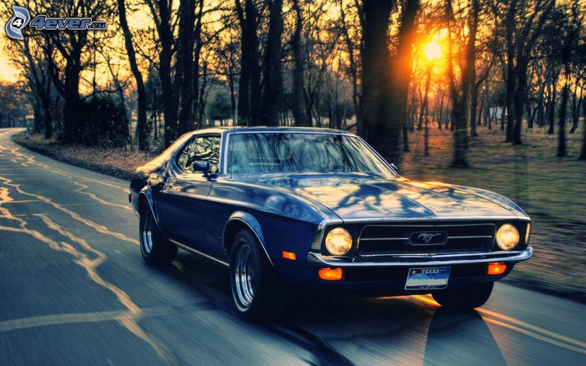 Ford Mustang, veterano, acelerar, puesta del sol en el bosque