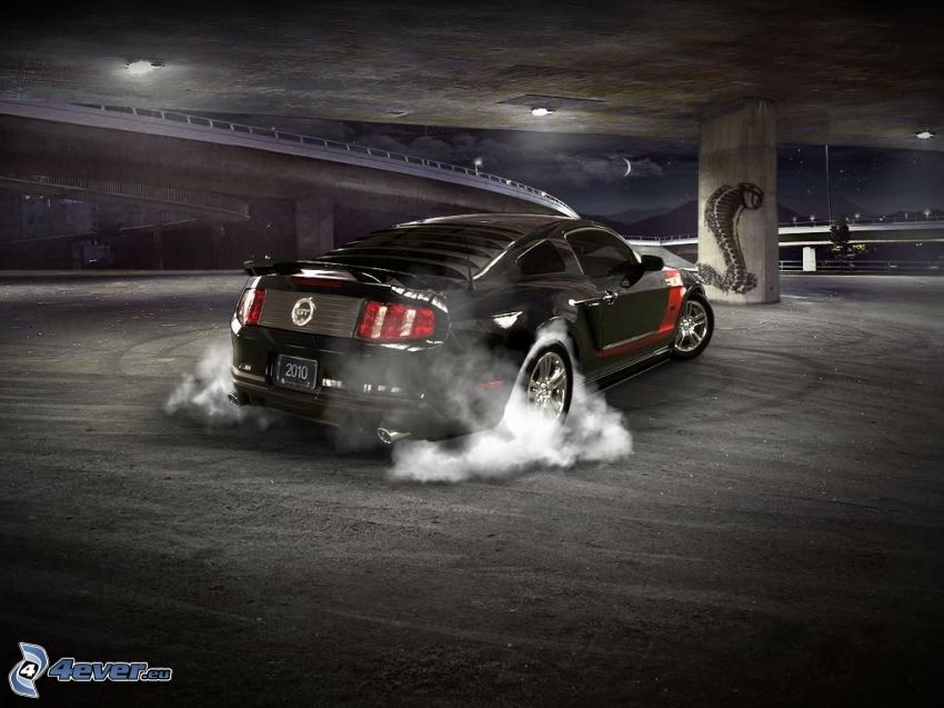 Ford Mustang Shelby, burnout, humo, cobra, noche, bajo el puente
