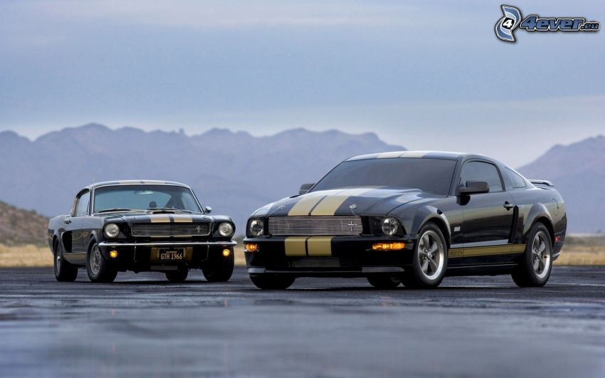 Ford Mustang Shelby GT500, veterano