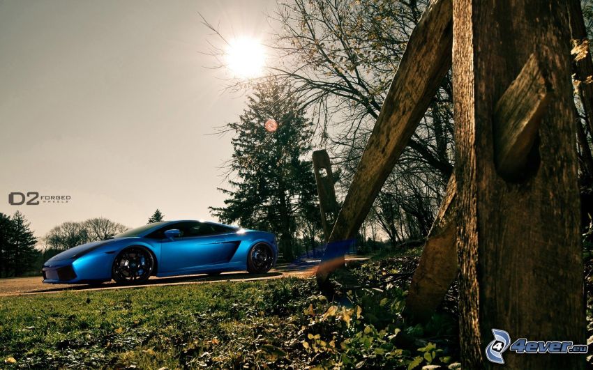 Lamborghini, cerca de madera vieja