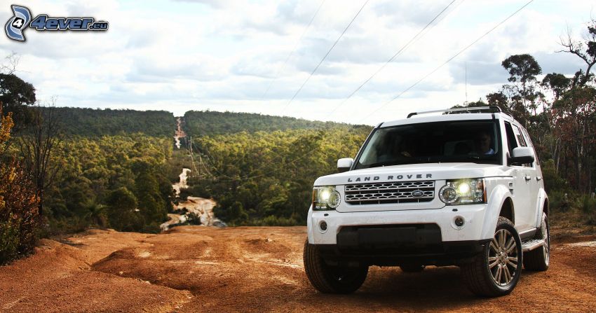 Land Rover Discovery, bosque