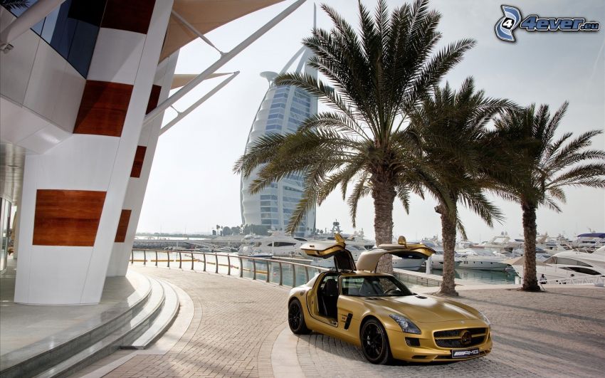 Mercedes-Benz SLS AMG, puerta, palmera, pavimento, Burj Al Arab