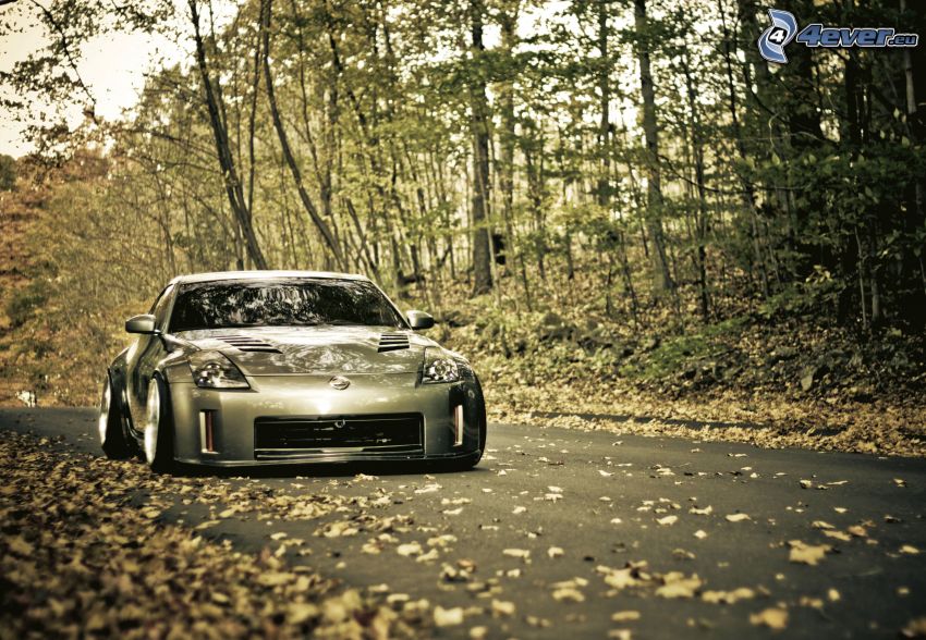 Nissan 350Z, camino por el bosque, bosque de otoño