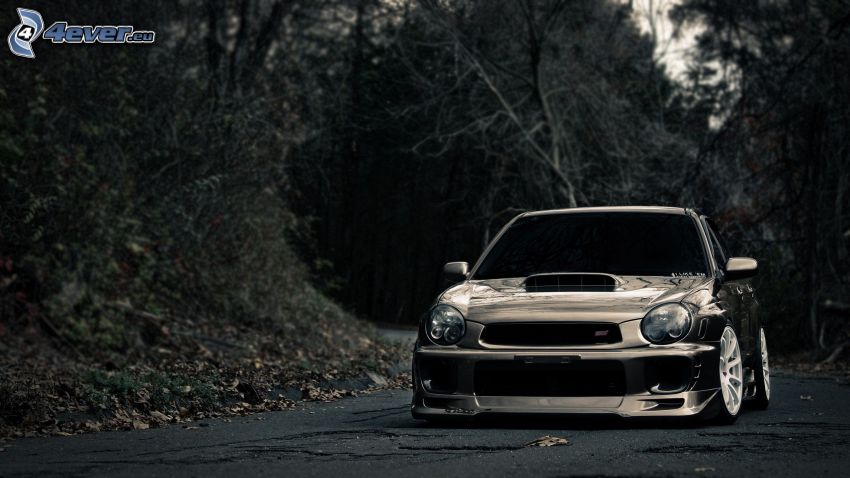 Subaru Impreza, lowrider, bosque oscuro