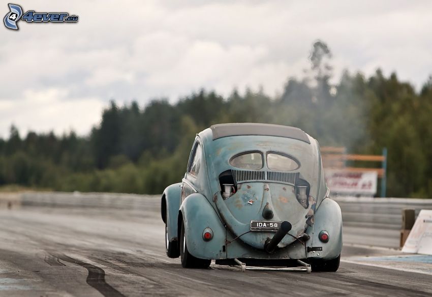 Volkswagen Beetle, Hot Rod, veterano