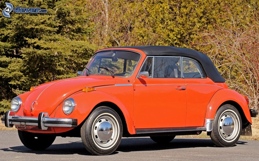 Volkswagen Beetle, veterano