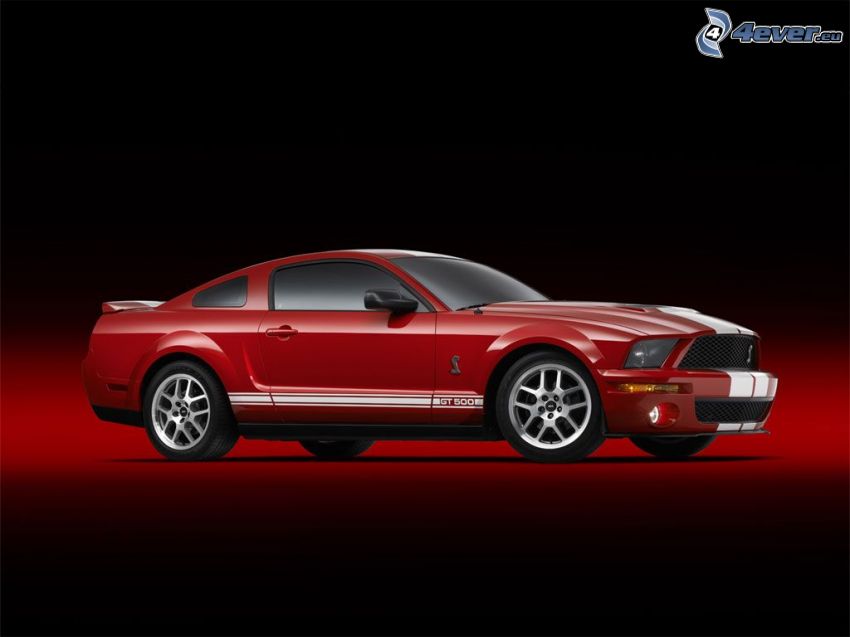 Ford Mustang Shelby Cobra