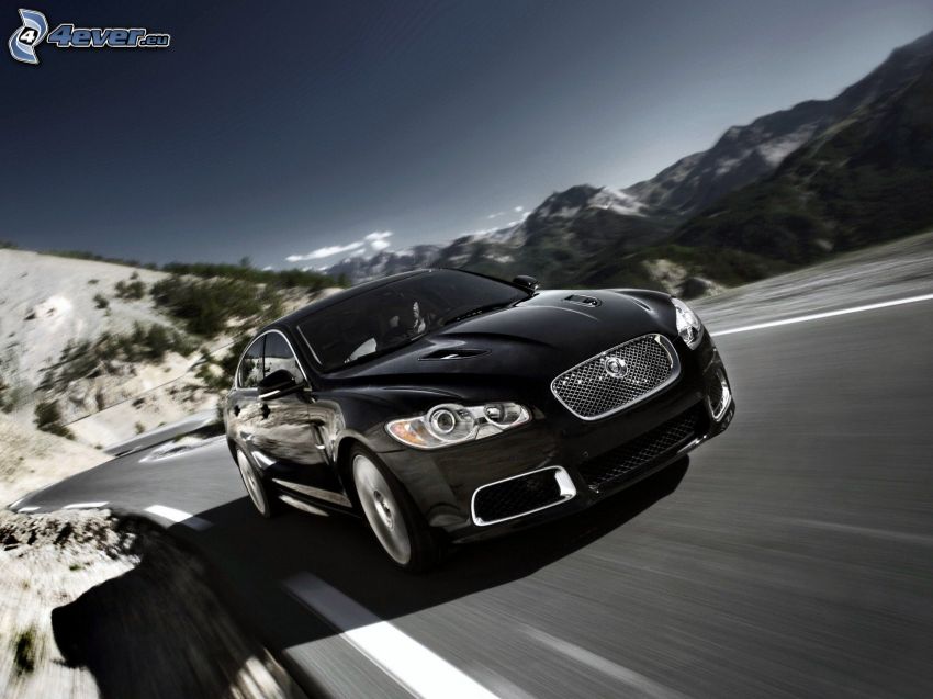 Jaguar, acelerar, camino
