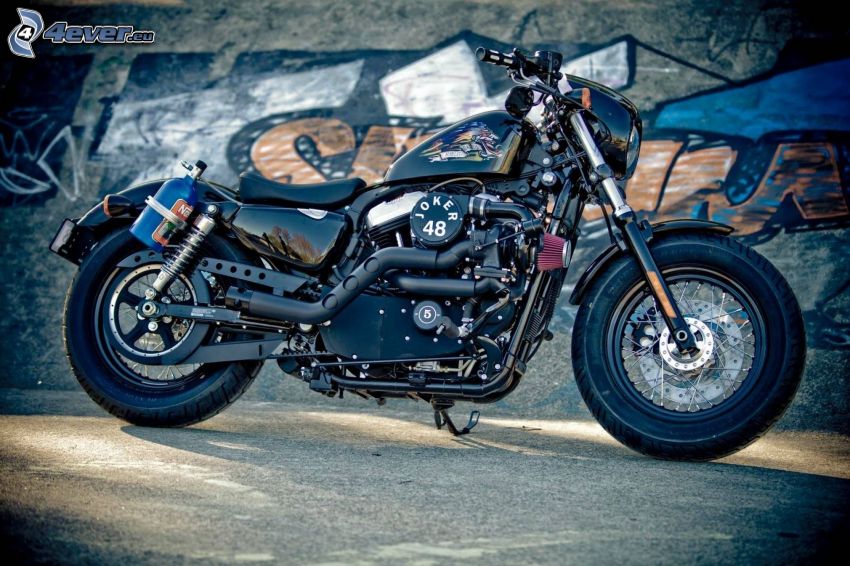 Harley-Davidson, pared, grafiti