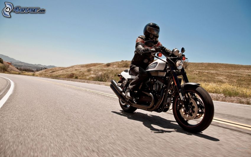Harley Davidson XR1200X, motociclista, camino