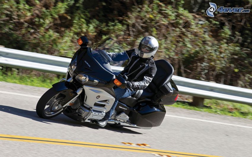 Honda Goldwing, motociclista, acelerar, camino