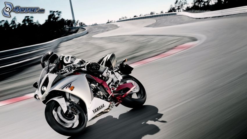 Yamaha R1, motociclista, acelerar, carreras en circuito