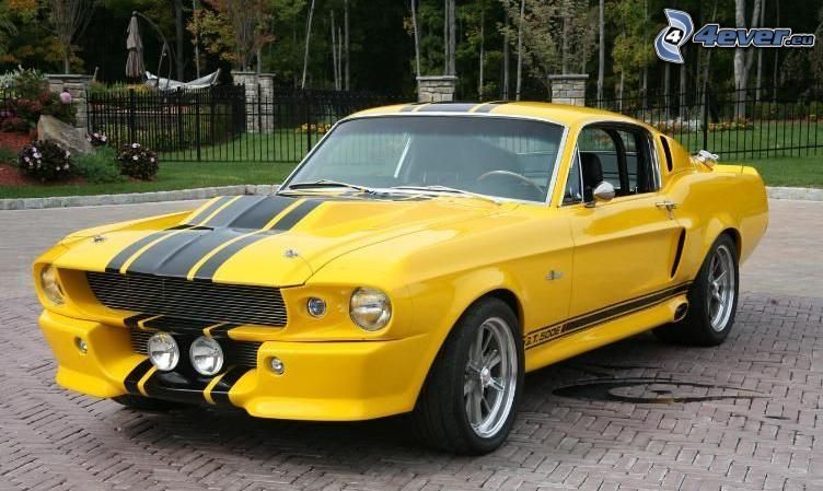 Ford Mustang Shelby GT500, coche