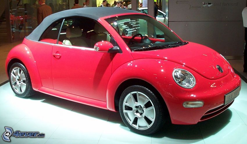 Volkswagen New Beetle, exposición