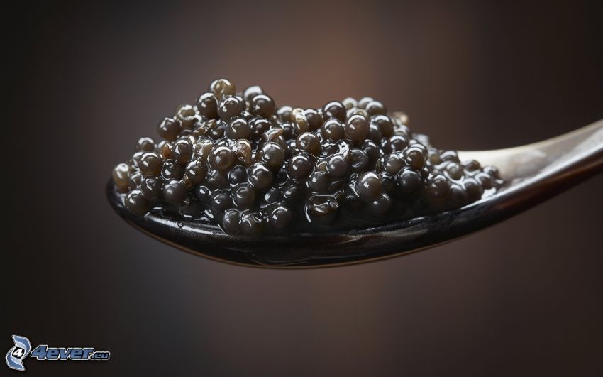 caviar, cuchara
