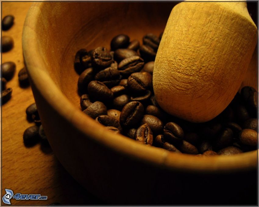 granos de café
