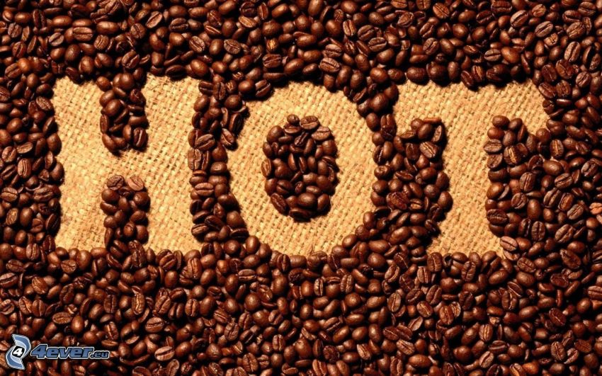 HOT, granos de café