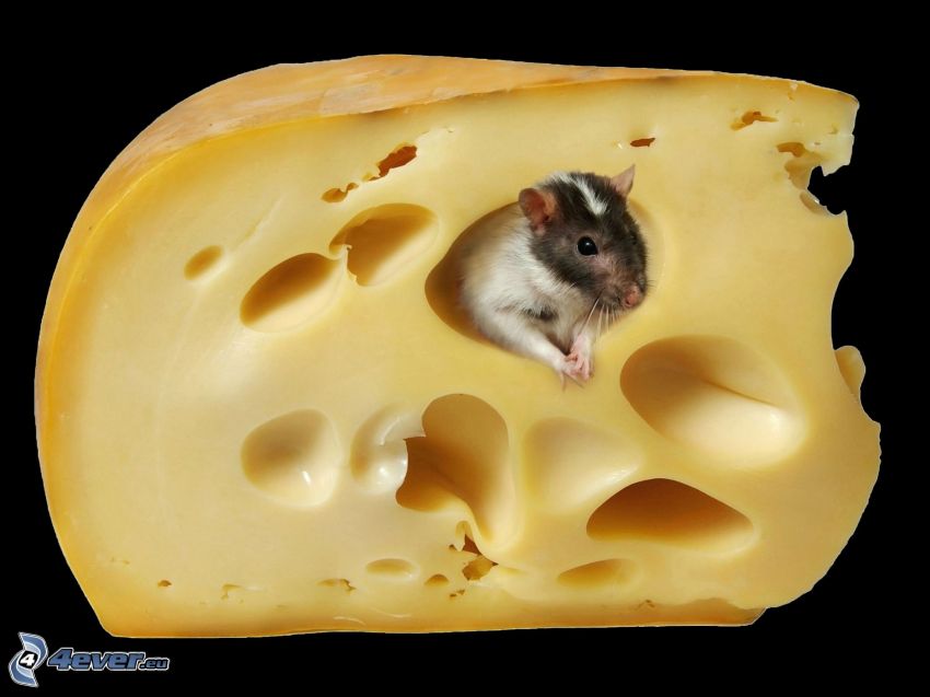 ratón, queso
