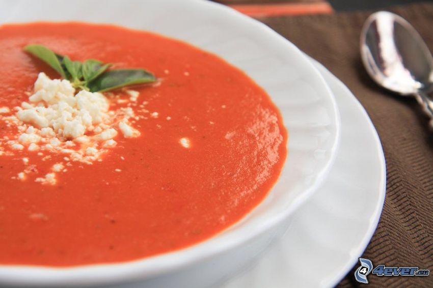 sopa de tomate, cuchara