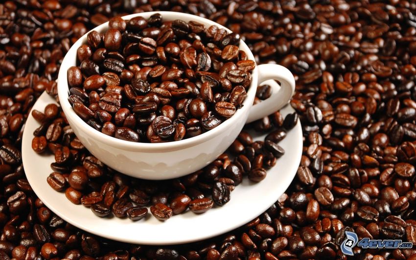taza, granos de café